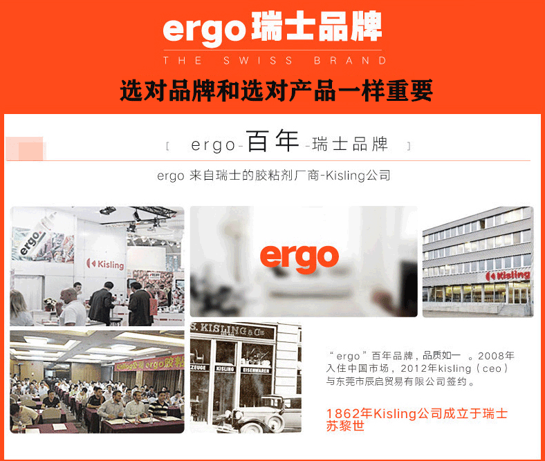 ergo膠水品牌介紹